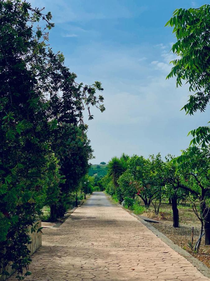 Il Giardino Delle Zagare Calatabiano Exterior foto